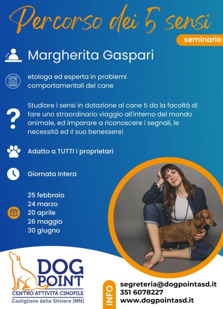 imparare a conoscere la prospettiva del cane attraverso i suoi sensi